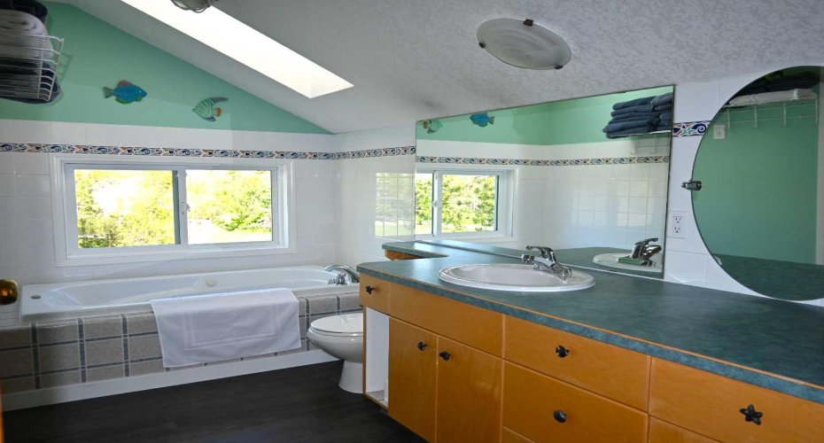 Jetted tub, shower, skylight