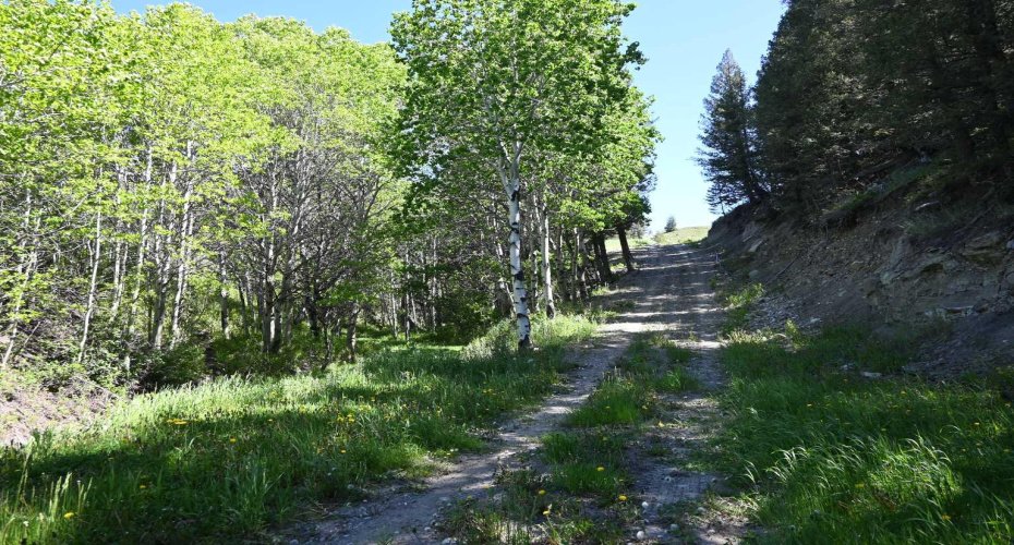 Private access to Oldman River