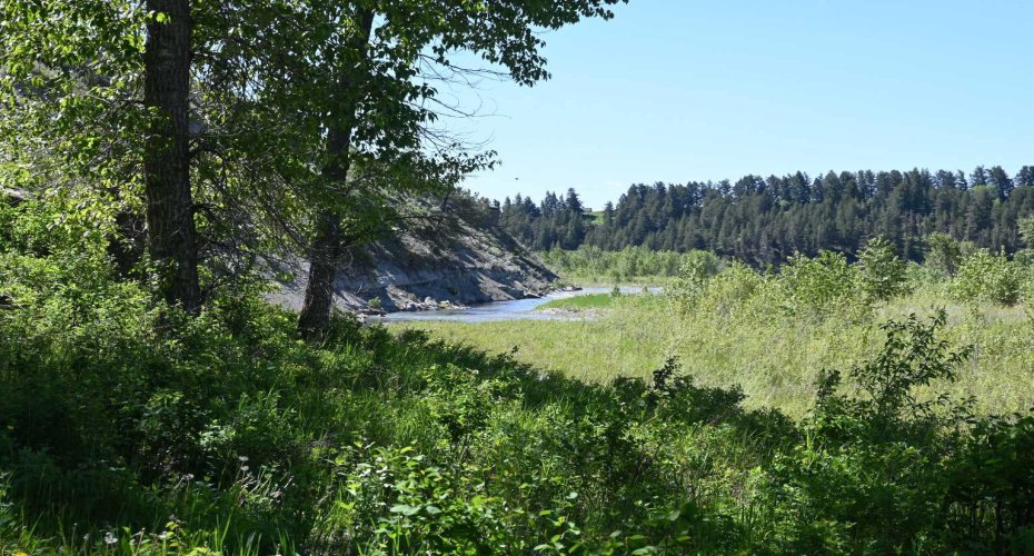 Napi River: Great spirit and protector