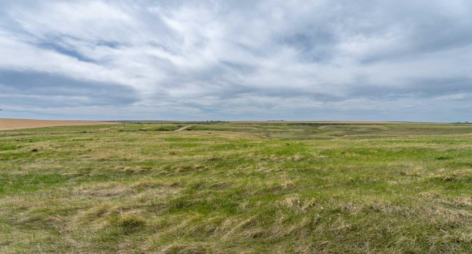 Ground Level Photo