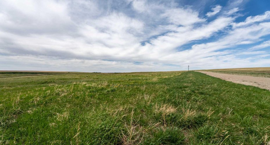 Looking North
