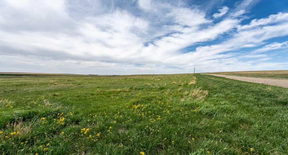 Looking North