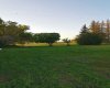 162 Hays Rd 30 N, Hays, Alberta T0K1B0, 3 Bedrooms Bedrooms, ,1 BathroomBathrooms,Agri-business,For Sale,Hays Rd 30 N,A2290210