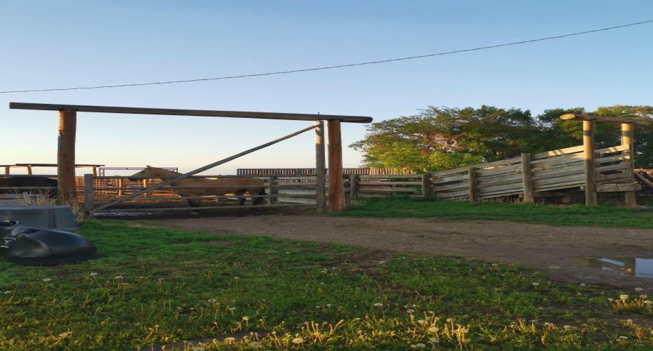 162 Hays Rd 30 N, Hays, Alberta T0K1B0, 3 Bedrooms Bedrooms, ,1 BathroomBathrooms,Agri-business,For Sale,Hays Rd 30 N,A2290210