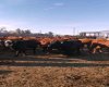 162 Hays Rd 30 N, Hays, Alberta T0K1B0, 3 Bedrooms Bedrooms, ,1 BathroomBathrooms,Agri-business,For Sale,Hays Rd 30 N,A2290210