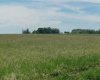 162 Hays Rd 30 N, Hays, Alberta T0K1B0, 3 Bedrooms Bedrooms, ,1 BathroomBathrooms,Agri-business,For Sale,Hays Rd 30 N,A2290210
