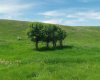 162 Hays Rd 30 N, Hays, Alberta T0K1B0, 3 Bedrooms Bedrooms, ,1 BathroomBathrooms,Agri-business,For Sale,Hays Rd 30 N,A2290210