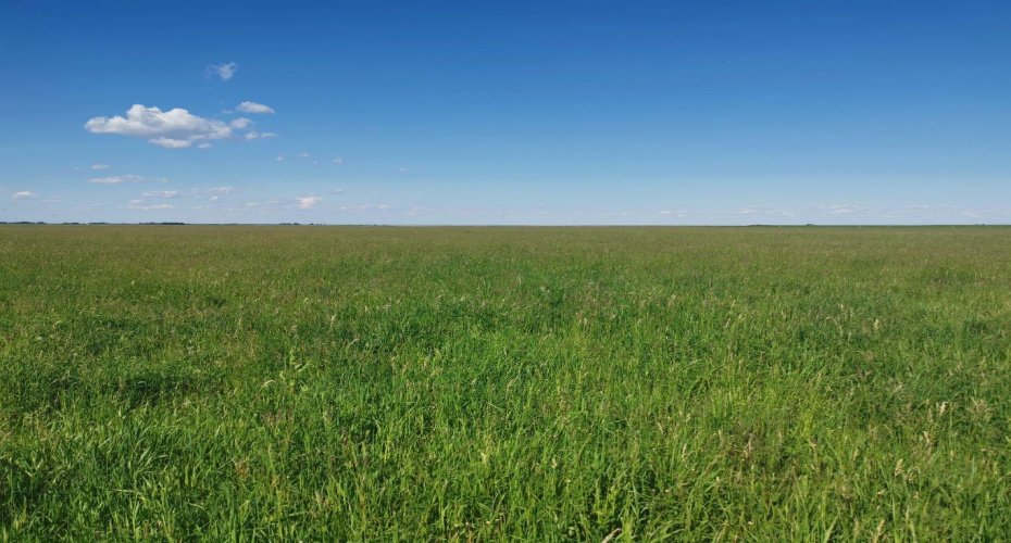 162 Hays Rd 30 N, Hays, Alberta T0K1B0, 3 Bedrooms Bedrooms, ,1 BathroomBathrooms,Agri-business,For Sale,Hays Rd 30 N,A2290210