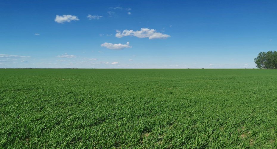 162 Hays Rd 30 N, Hays, Alberta T0K1B0, 3 Bedrooms Bedrooms, ,1 BathroomBathrooms,Agri-business,For Sale,Hays Rd 30 N,A2290210