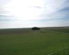 162 Hays Rd 30 N, Hays, Alberta T0K1B0, 3 Bedrooms Bedrooms, ,1 BathroomBathrooms,Agri-business,For Sale,Hays Rd 30 N,A2290210