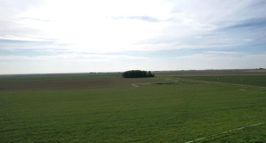 162 Hays Rd 30 N, Hays, Alberta T0K1B0, 3 Bedrooms Bedrooms, ,1 BathroomBathrooms,Agri-business,For Sale,Hays Rd 30 N,A2290210
