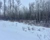 26 50220 204 Range, Rural Beaver County, Alberta t0b 4j2, ,Land,For Sale,204,A2290305