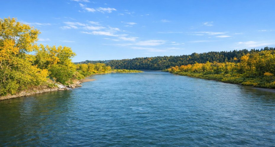 3426 5 Avenue, Calgary, Alberta T2N 0V6, 3 Bedrooms Bedrooms, ,3 BathroomsBathrooms,Residential,For Sale,5,A2290952