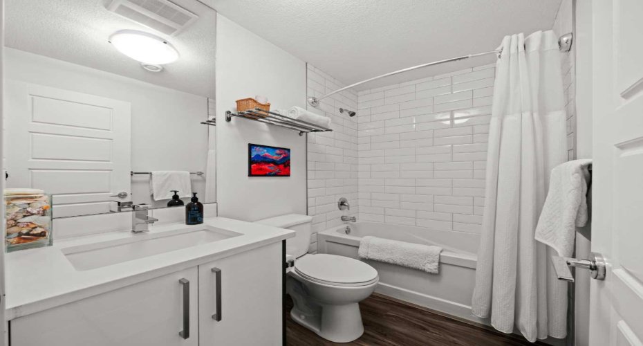 Basement Bathroom
