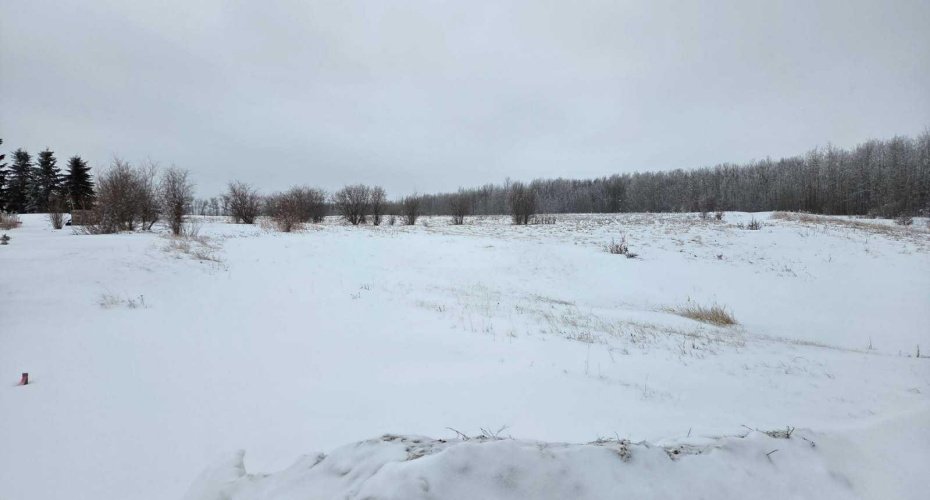 15025 Twp Rd 470 Road, Westerose, Alberta T0C 2V0, ,Land,For Sale,Twp Rd 470,A2291127