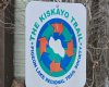 Steps to the Kiskayo Trail system