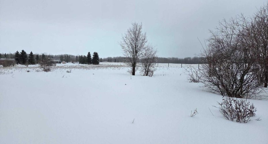 15025 Twp Rd 470 Road, Westerose, Alberta T0C 2V0, ,Land,For Sale,Twp Rd 470,A2291127
