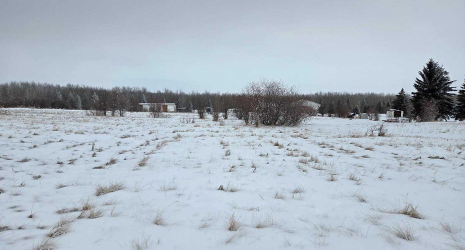 15025 Twp Rd 470 Road, Westerose, Alberta T0C 2V0, ,Land,For Sale,Twp Rd 470,A2291127