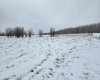 15025 Twp Rd 470 Road, Westerose, Alberta T0C 2V0, ,Land,For Sale,Twp Rd 470,A2291127