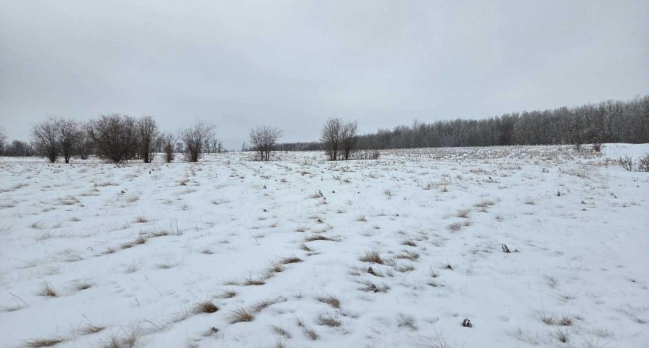 15025 Twp Rd 470 Road, Westerose, Alberta T0C 2V0, ,Land,For Sale,Twp Rd 470,A2291127