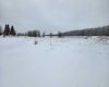 15025 Twp Rd 470 Road, Westerose, Alberta T0C 2V0, ,Land,For Sale,Twp Rd 470,A2291127