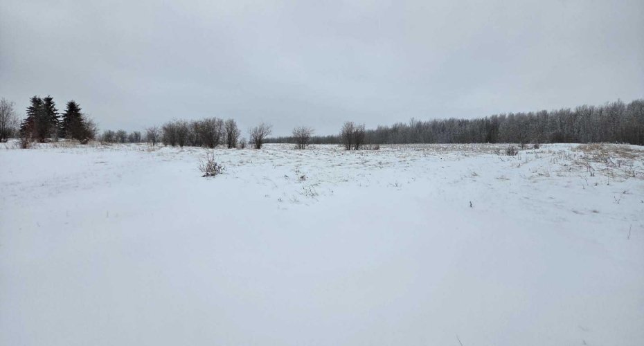 15025 Twp Rd 470 Road, Westerose, Alberta T0C 2V0, ,Land,For Sale,Twp Rd 470,A2291127
