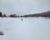 15025 Twp Rd 470 Road, Westerose, Alberta T0C 2V0, ,Land,For Sale,Twp Rd 470,A2291127