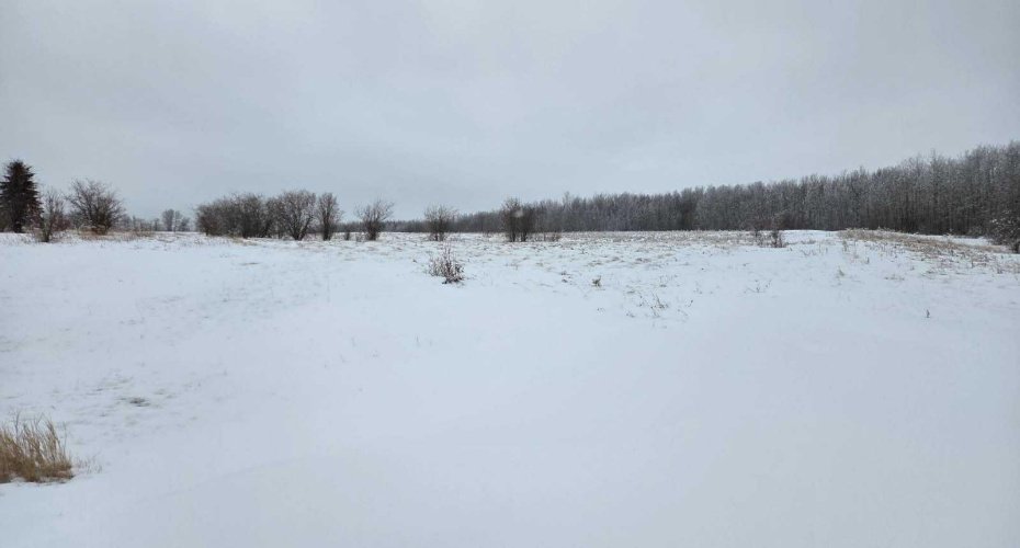 15025 Twp Rd 470 Road, Westerose, Alberta T0C 2V0, ,Land,For Sale,Twp Rd 470,A2291127