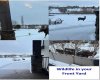 55 Carter Close, Red Deer, Alberta T4P 0G5, 4 Bedrooms Bedrooms, ,3 BathroomsBathrooms,Residential,For Sale,Carter,A2291320