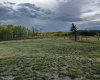15 Ranch Road, White Sands, Alberta T0C2L0, ,Land,For Sale,Ranch,A2290068