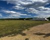 15 Ranch Road, White Sands, Alberta T0C2L0, ,Land,For Sale,Ranch,A2290068