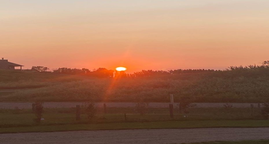 15 Ranch Road, White Sands, Alberta T0C2L0, ,Land,For Sale,Ranch,A2290068