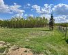15 Ranch Road, White Sands, Alberta T0C2L0, ,Land,For Sale,Ranch,A2290068