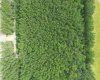 3 Kopp Drive, Turtle Lake, Saskatchewan S0M2Y0, ,Land,For Sale,Kopp,A2290986