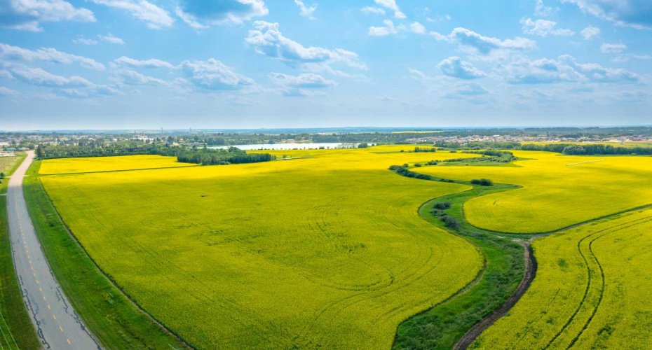 5901 50 Avenue, Innisfail, Alberta T4G 1R7, ,Land,For Sale,50,A2291188