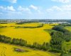 5901 50 Avenue, Innisfail, Alberta T4G 1R7, ,Land,For Sale,50,A2291188