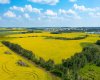 5901 50 Avenue, Innisfail, Alberta T4G 1R7, ,Land,For Sale,50,A2291188