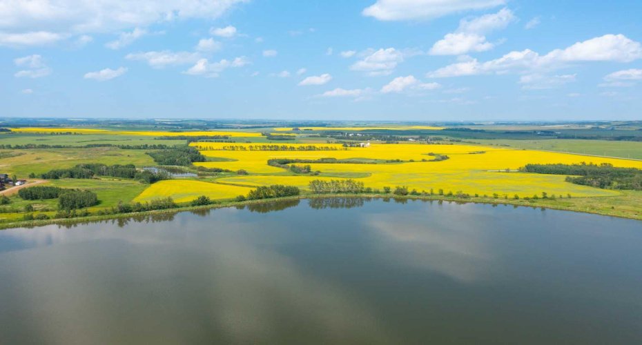 5901 50 Avenue, Innisfail, Alberta T4G 1R7, ,Land,For Sale,50,A2291188