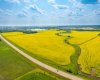 5901 50 Avenue, Innisfail, Alberta T4G 1R7, ,Land,For Sale,50,A2291188