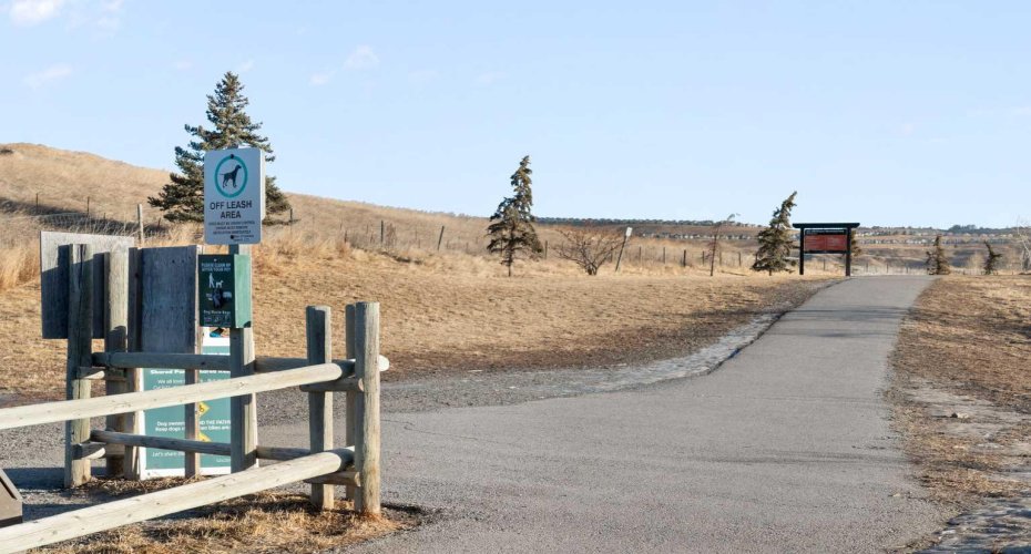 156 Park Street, Cochrane, Alberta T4C2B8, 3 Bedrooms Bedrooms, ,2 BathroomsBathrooms,Residential,For Sale,Park,A2291443