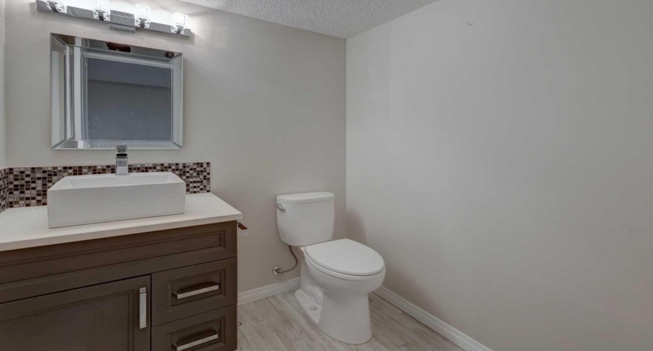 BASEMENT BATHROOM