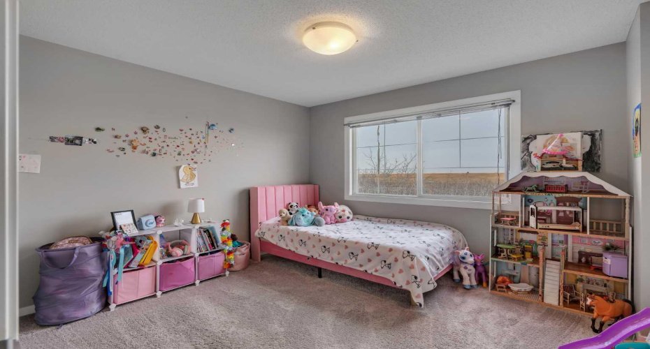 Second Bedroom - large and bright
