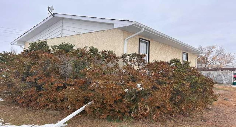 118 2 Avenue, Cereal, Alberta T0J 0N0, 3 Bedrooms Bedrooms, ,1 BathroomBathrooms,Residential,For Sale,2,A2292352