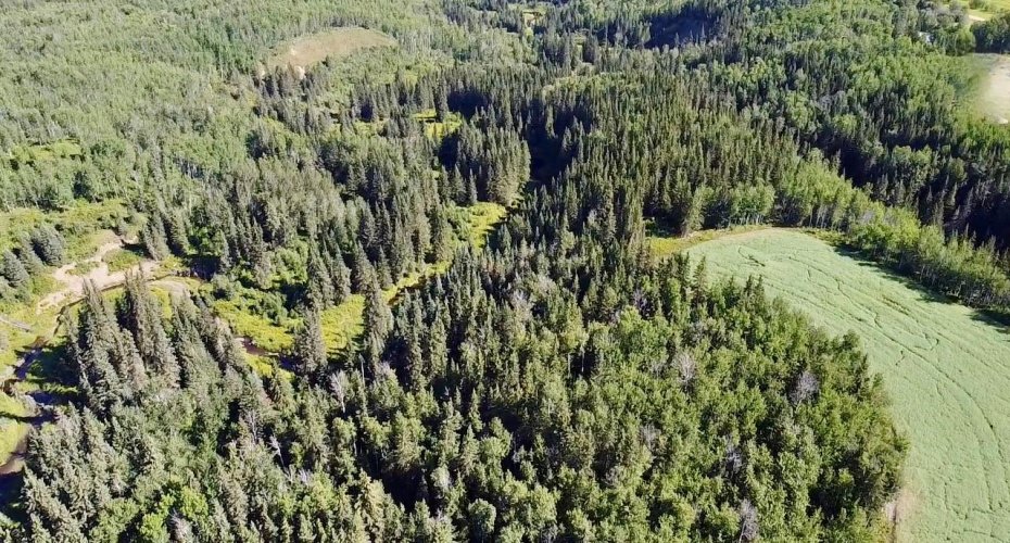 Range Road 225 Canyon Road, Rural Athabasca County, Alberta T9S 2A4, ,Land,For Sale,Canyon Road,A2292383