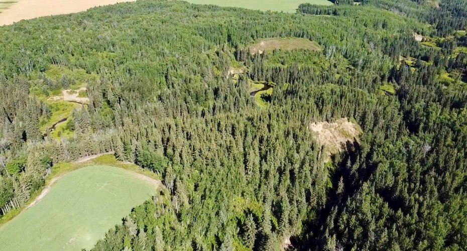 Range Road 225 Canyon Road, Rural Athabasca County, Alberta T9S 2A4, ,Land,For Sale,Canyon Road,A2292383
