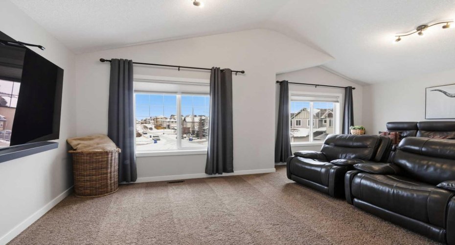 Vaulted bonus room with tiered theatre seating.