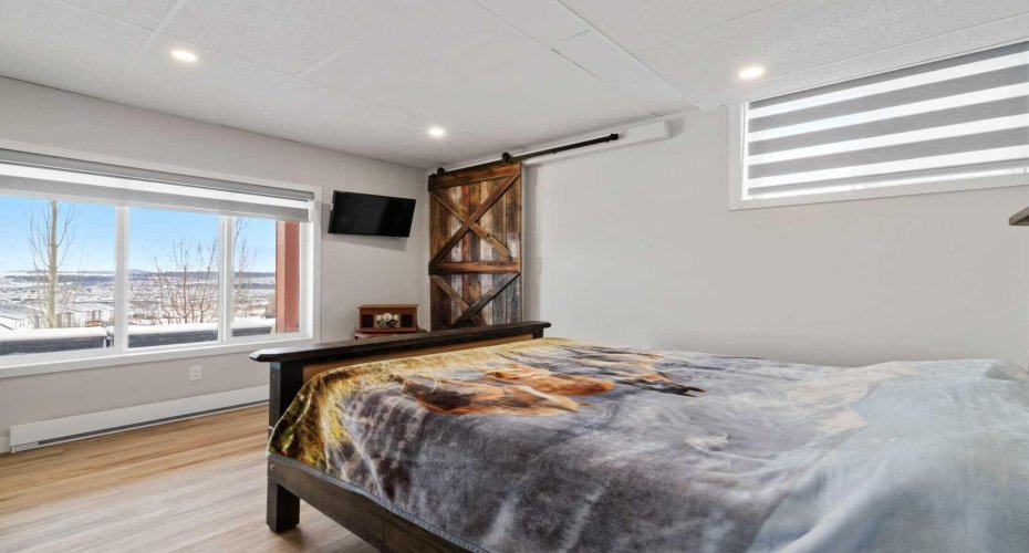 Views from the basement bedroom.