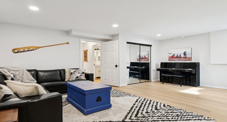 Large basement family room
