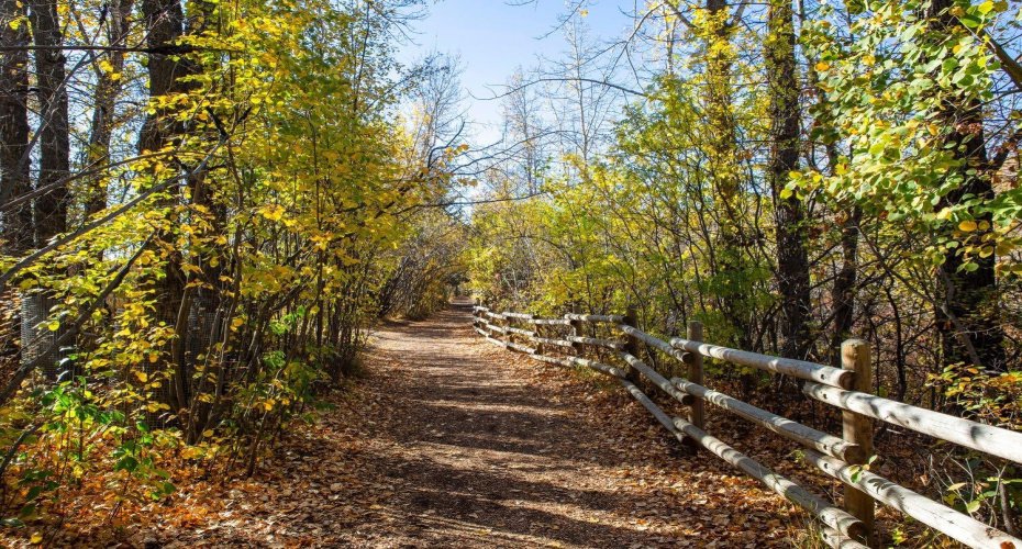 Nearby trails to the river