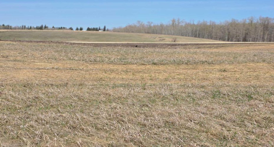 #6 C&E Trail North of Blackfalds, Rural Lacombe County, Alberta T0M 0J0, ,Land,For Sale,C&E Trail North of Blackfalds,A2292863